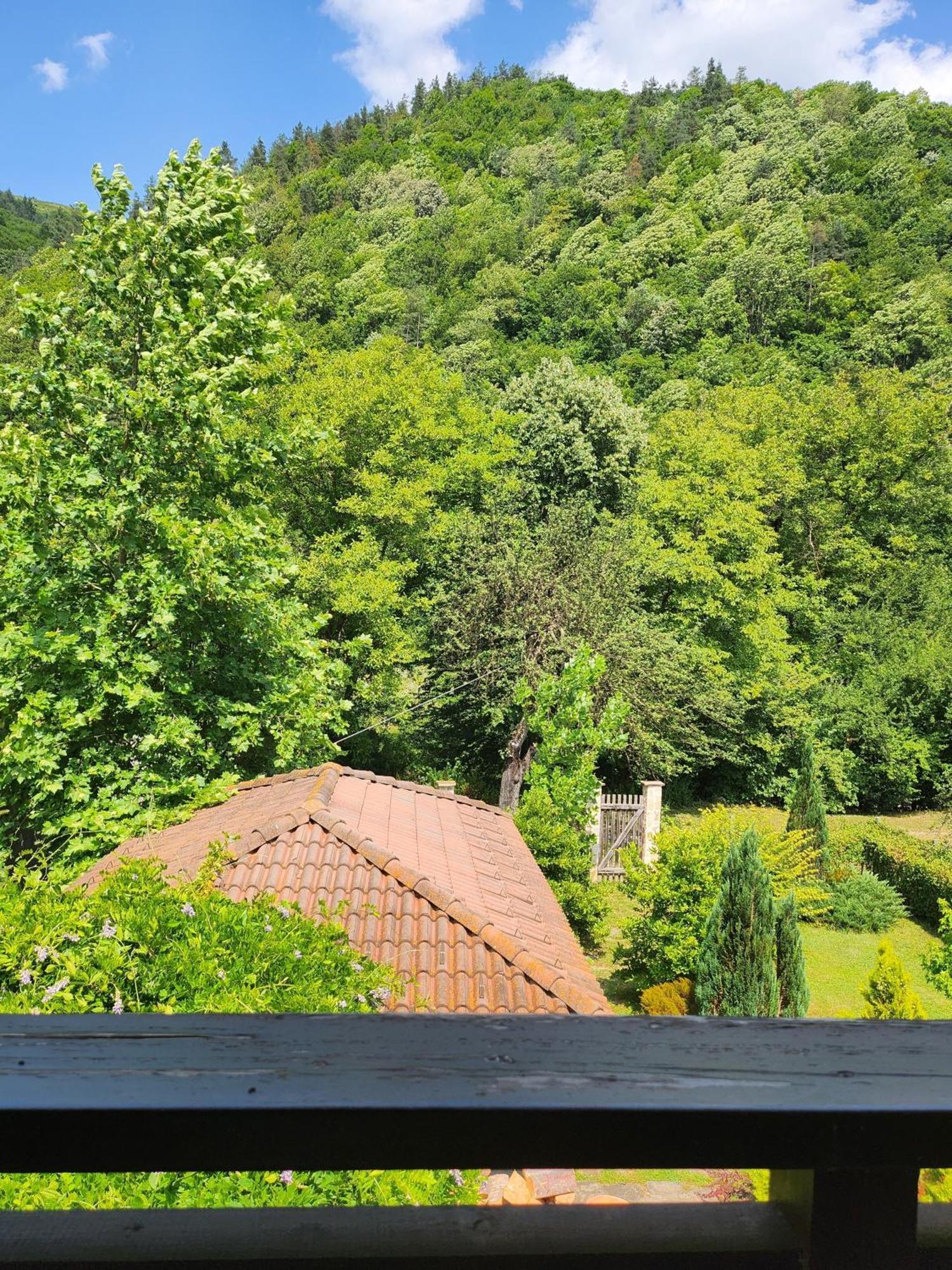 Eco Residence Ribarica Esterno foto