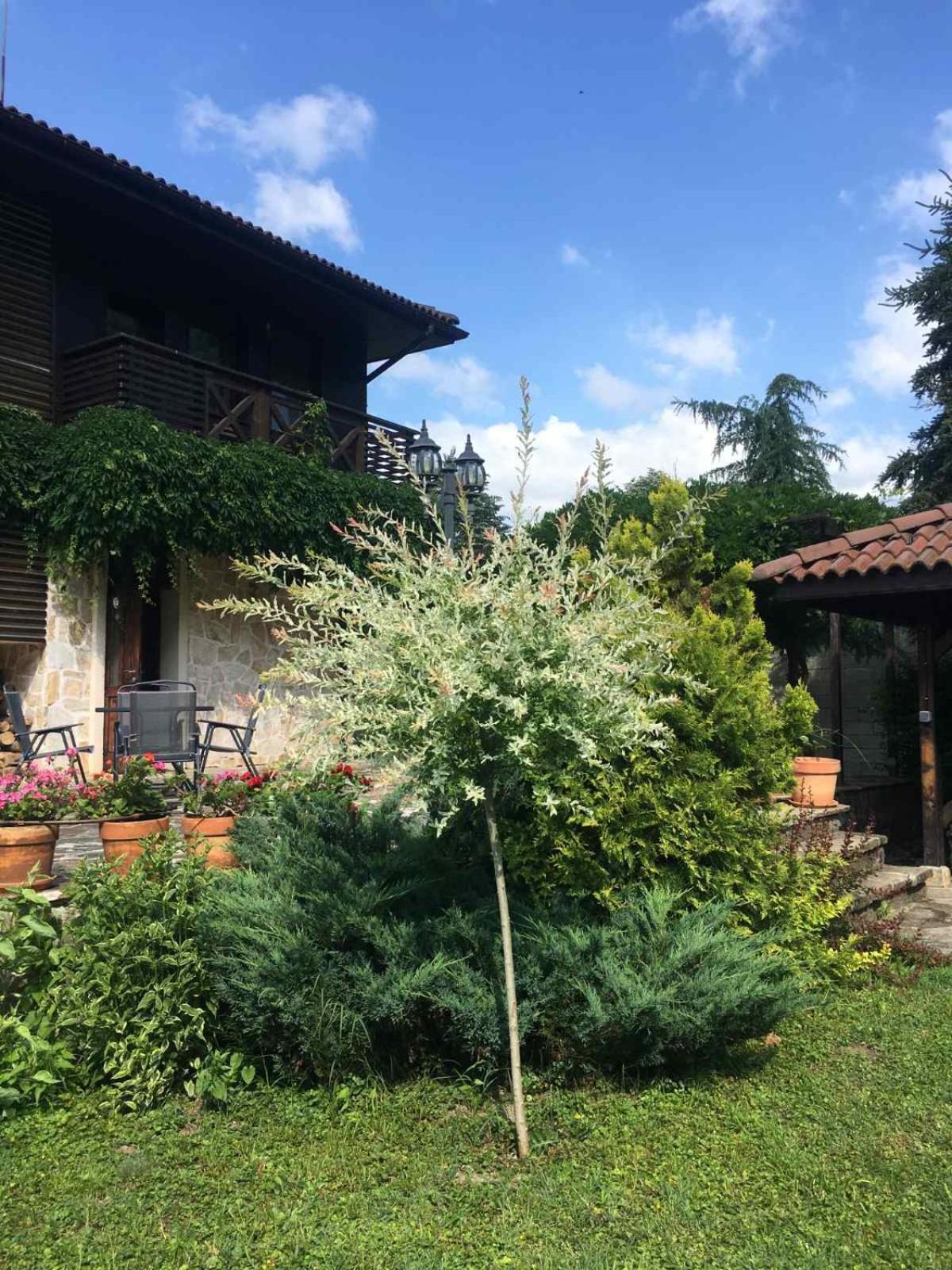 Eco Residence Ribarica Esterno foto